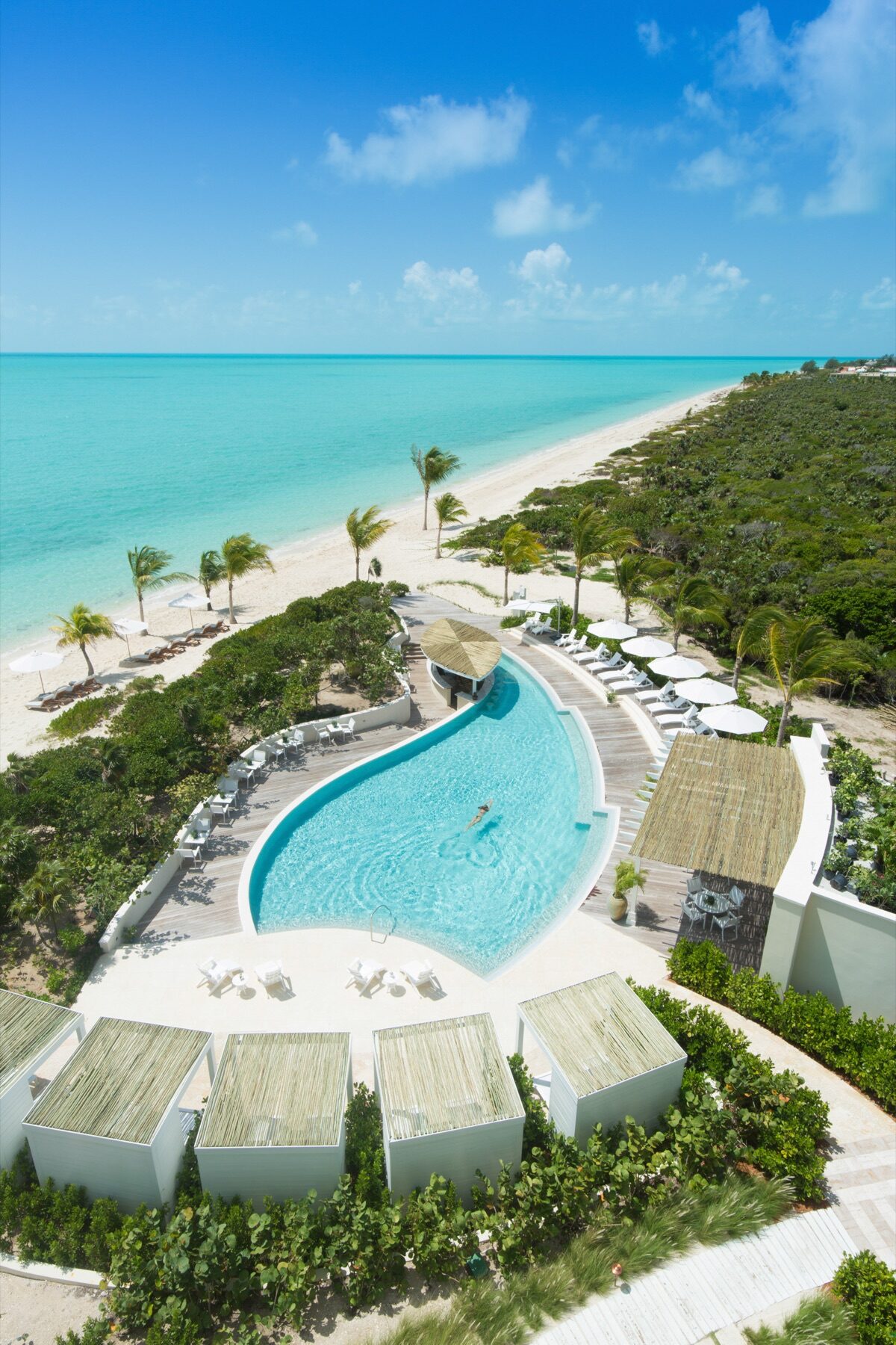 Elevated view of a resort infinity pool curving along a palm lined beach